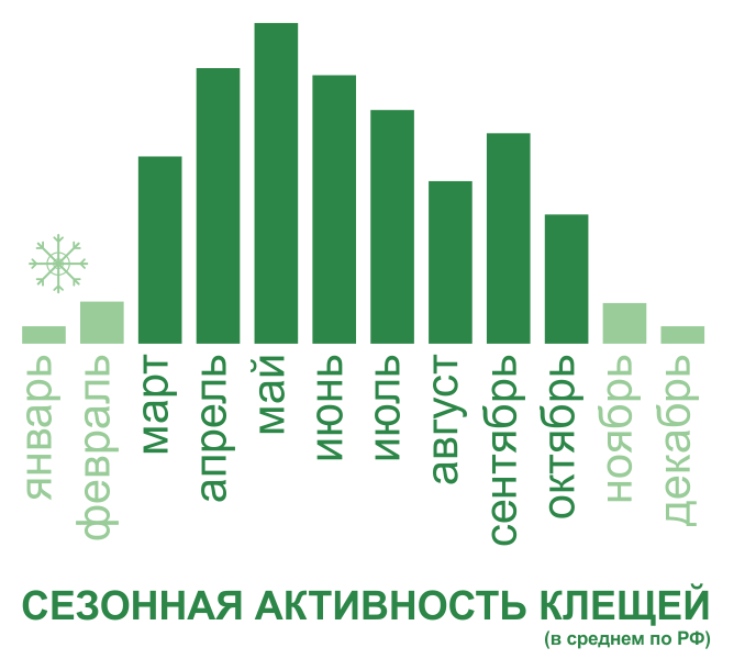 Акарицидная обработка от клещей территории и участков в Санкт-Петербурге. Цены